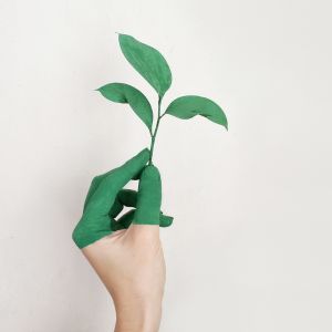 ESG o que é e como aplicar