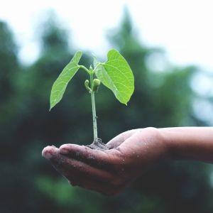 ESG sustentabilidade e impacto