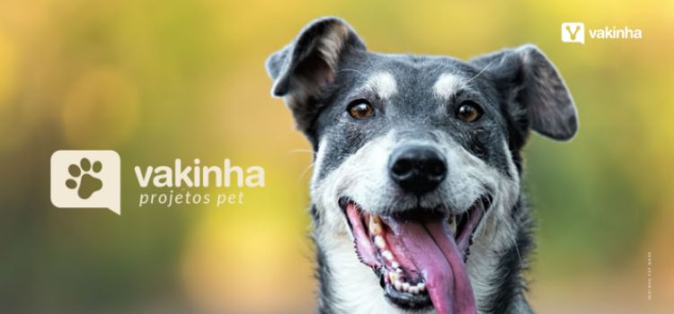 Cachorro com a língua pra fora - vakinha pet