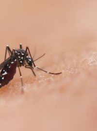 Enchentes no RS e a Dengue